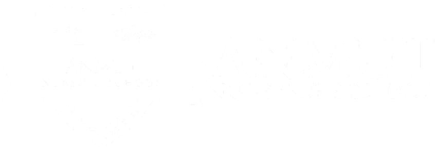 Anmut Nursing School